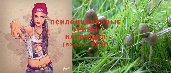 ГАЛЛЮЦИНОГЕННЫЕ ГРИБЫ Беломорск
