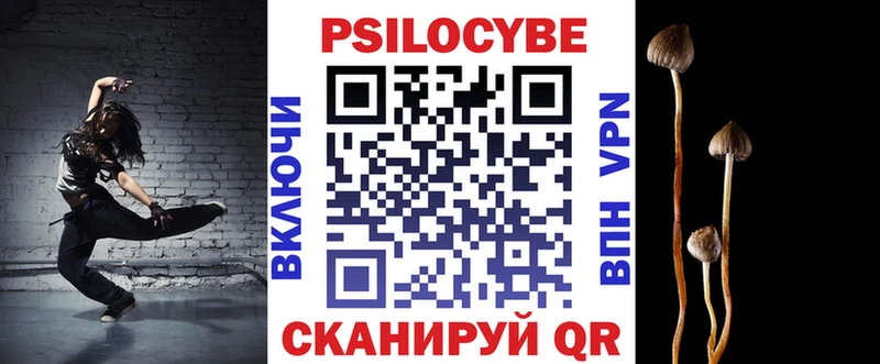 Купить закладки  Павловский Посад  Галлюциногенные грибы GOLDEN TEACHER 