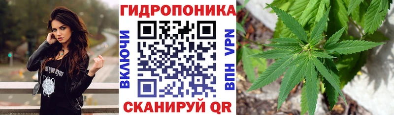 Купить закладки  Павловский Посад  Марихуана THC 21% 